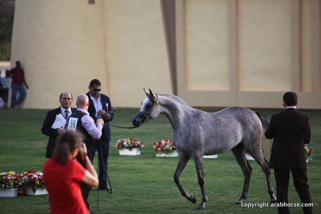 AL Aryam Abla by Marwan Al Shaqab