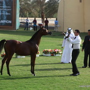 Samarah Al Bidayer by Marajj