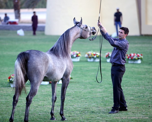 D Muwadah by QR Marc