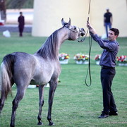 D Muwadah by QR Marc