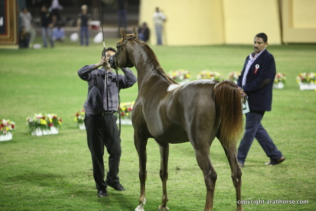 Ajman Show 2012 Day 1
