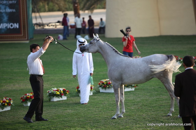 Yusty "F" by WH Justice