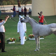 Yusty "F" by WH Justice