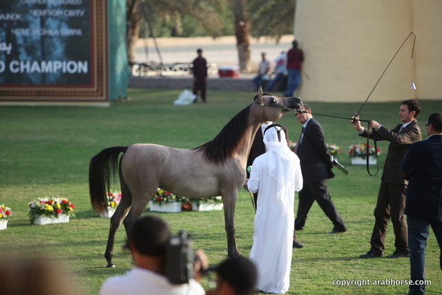 Salama Al Zobair by Marajj