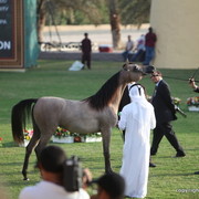 Salama Al Zobair by Marajj