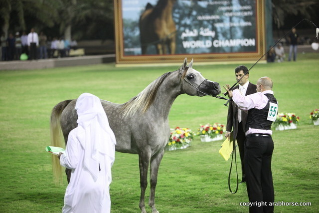 Fairview Dare to Dream by Maximus ERA