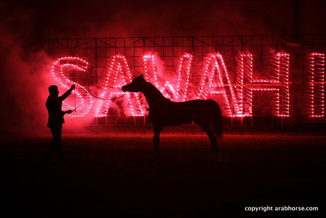 2012 Ajman Evening Entertainment.....