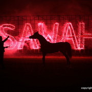 2012 Ajman Evening Entertainment.....