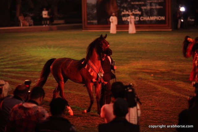 2012 Ajman Evening Entertainment.....