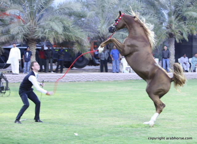 Spartacus TO by Marwan Al Shaqab