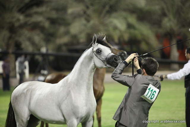 Ajman Show 2012 Day 2
