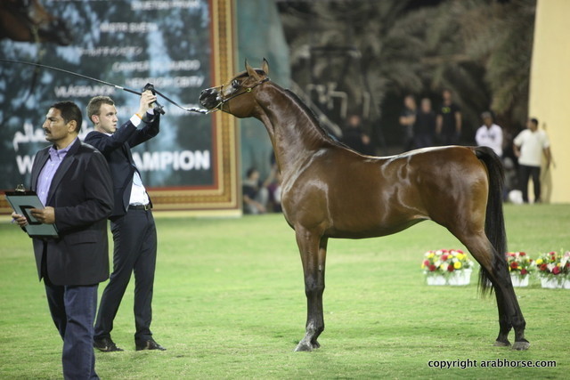 SH-Hab Al Hawajer by Marajj