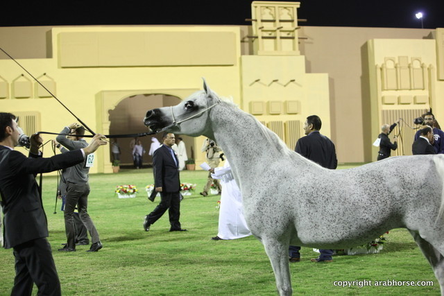 Thoraya Al Zobair by Ansata Selman