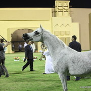 Thoraya Al Zobair by Ansata Selman