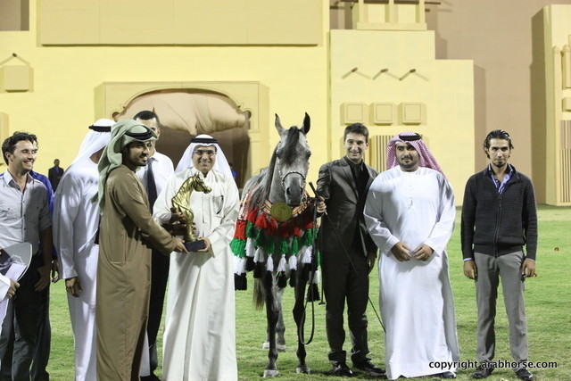 Champion Filly D Muwadah by QR Marc