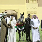 Champion Filly D Muwadah by QR Marc