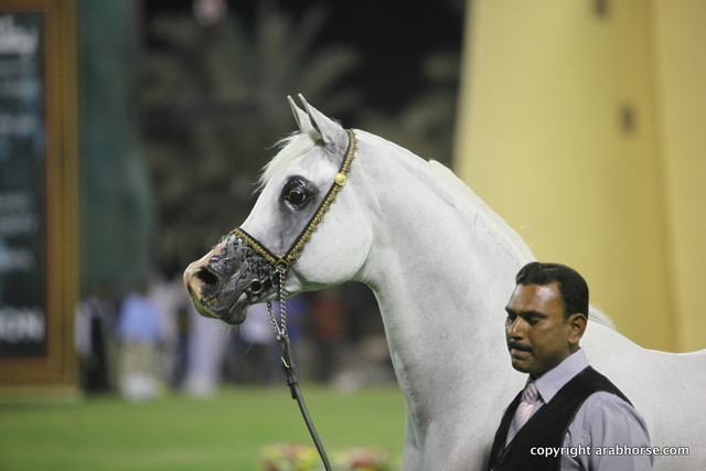 Maydan-Medheen by Maysoun