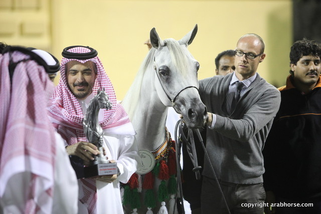 Silver Champion Mare Salwa Al Zobair by Marajj