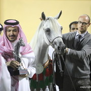 Silver Champion Mare Salwa Al Zobair by Marajj