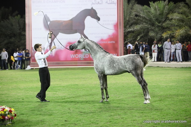 Ajlad by IM Bayard Cathare