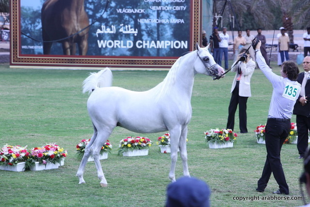 Ajman Show 2012 Day 2
