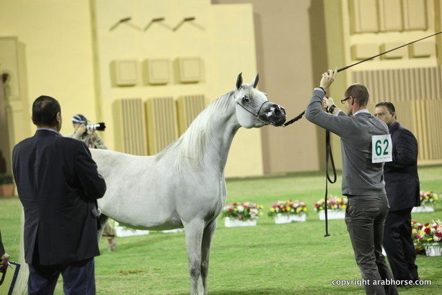 Salwa Al Zobair by Marajj