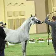Salwa Al Zobair by Marajj