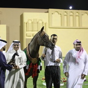 Bronze Champion Simeon Sehavi by Asfour