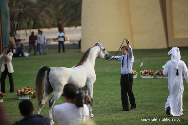 Ajman Show 2012 Day 2