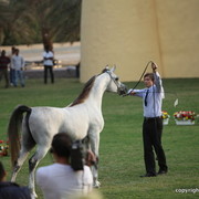 Ajman Show 2012 Day 2