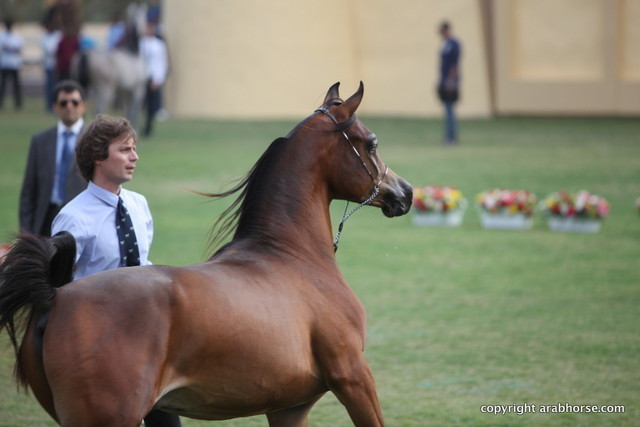 AJ Barzan by Vervaldee x PA Pryme Times Legacy