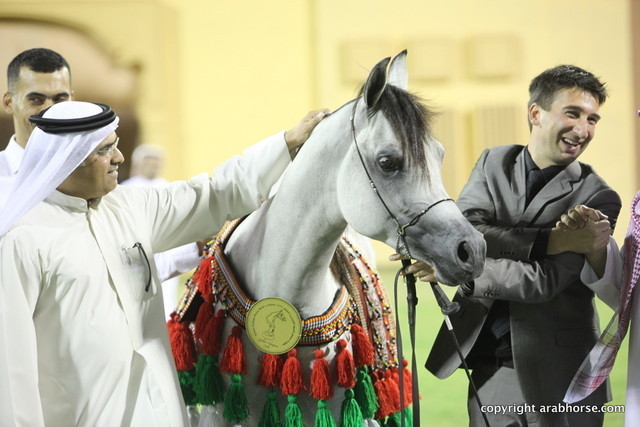 Gold Champion Colt D Myas by QR Marc and owned by Dubai Stud