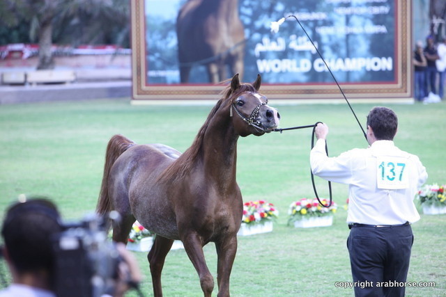 Farenheit GAT by El Nabila B