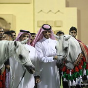 The Gold and Silver Champion mares of Al Zobair
