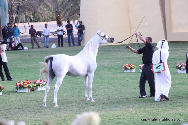 SS Mar'j by SW Renegade