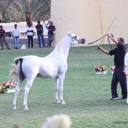 SS Mar'j by SW Renegade