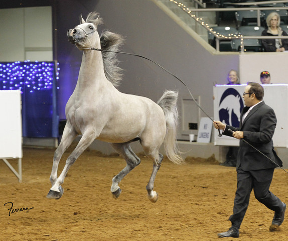 2011 US Nationals News & Reviews, Friday