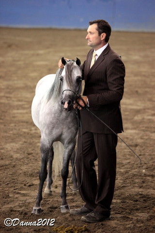 2012 East Coast Arabians Championships 25th Anniversary Show