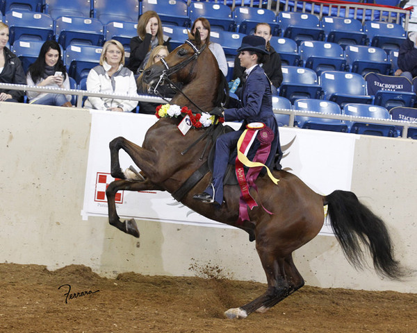 2011 US Nationals News & Reviews, Friday