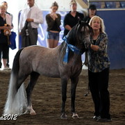 2012 East Coast Arabians Championships 25th Anniversary Show