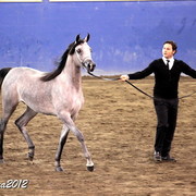 2012 East Coast Arabians Championships 25th Anniversary Show