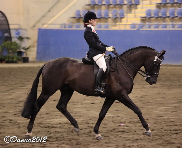 2012 East Coast Arabian Championships - Day 2