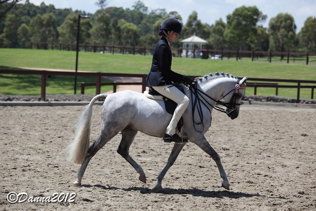 2012 East Coast Arabian Championships - Day 2