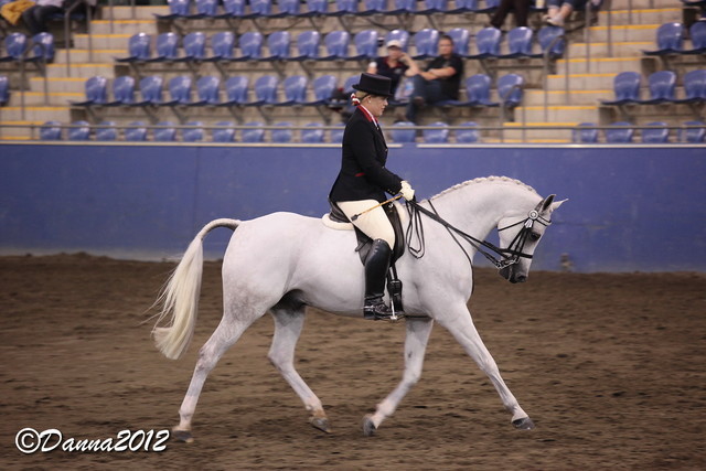 2012 East Coast Arabian Championships - Day 2
