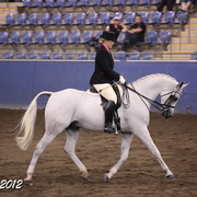 2012 East Coast Arabian Championships - Day 2