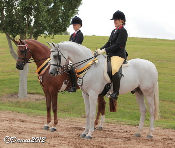2012 East Coast Arabian Championships - Day 2