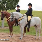 2012 East Coast Arabian Championships - Day 2