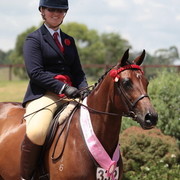 2012 East Coast Arabian Championships - Day 2