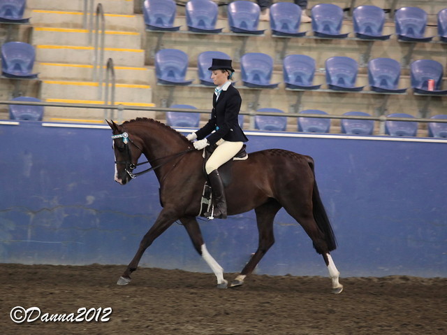 2012 East Coast Arabian Championships - Day 2