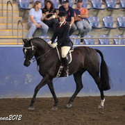 2012 East Coast Arabian Championships - Day 2